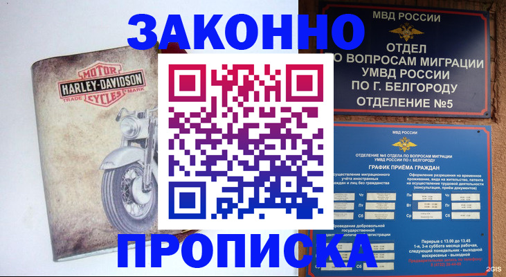 прописка для школы в Каргате